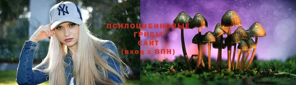 альфа пвп Каменск-Шахтинский