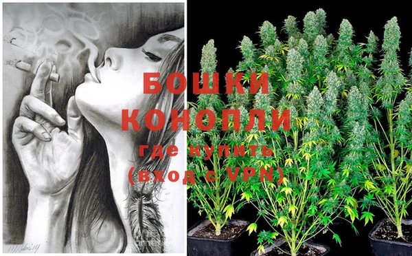 метадон Каменка