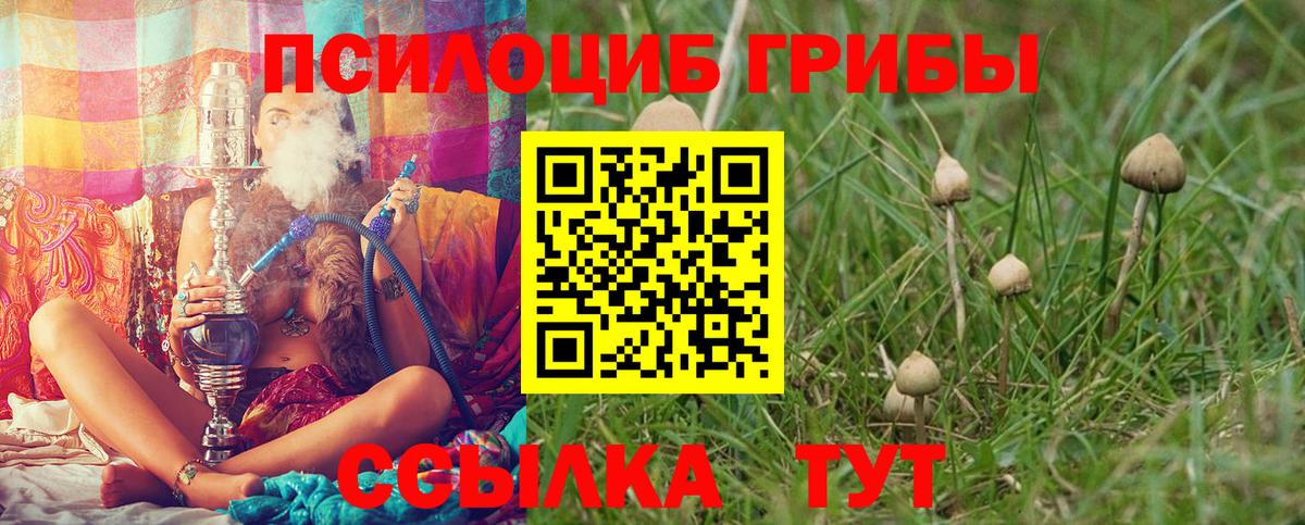 Псилоцибиновые грибы Cubensis  Вход с VPN  Сорочинск 